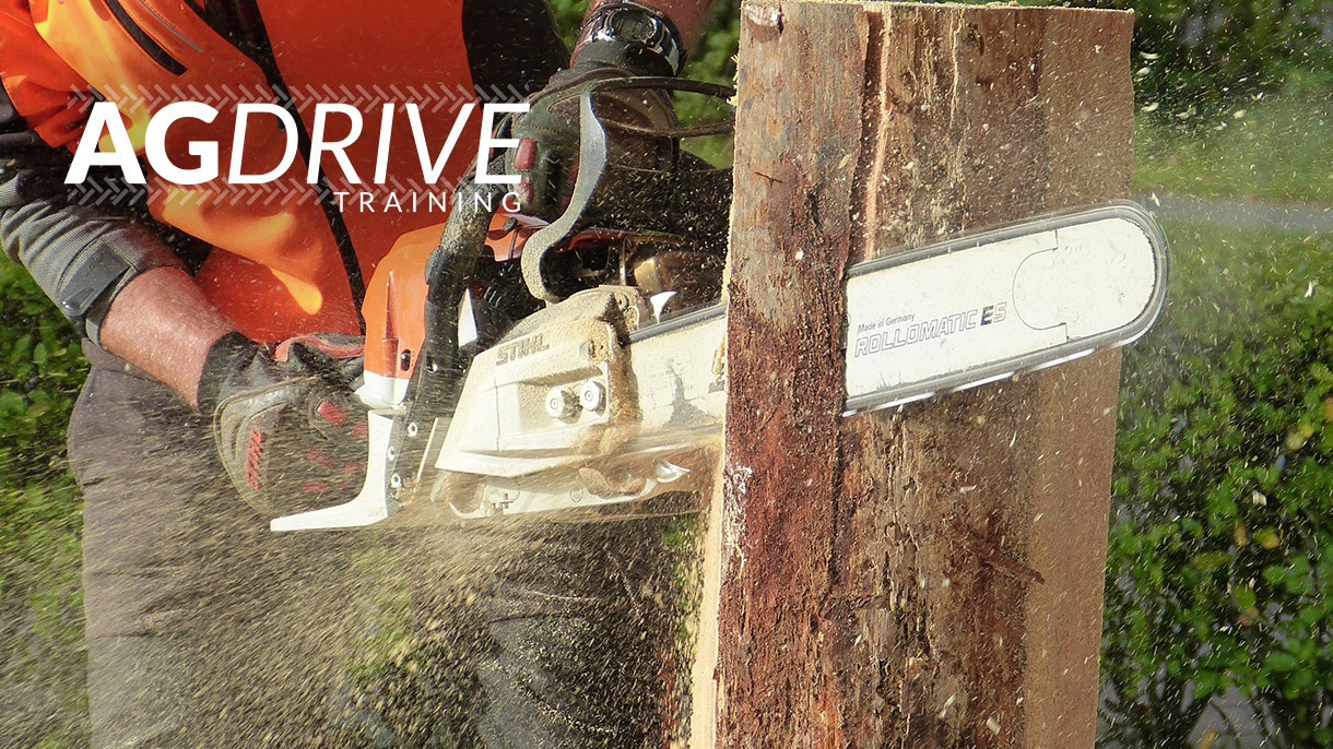 Chainsaw Course Agricademy