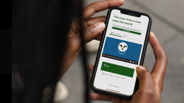 Coupons for your Trainees